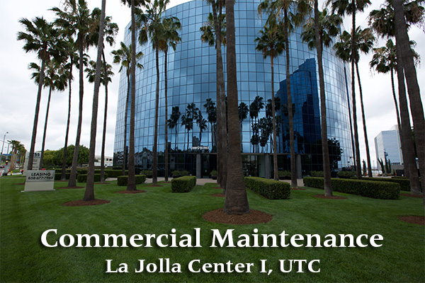 La Jolla Center 4-blog