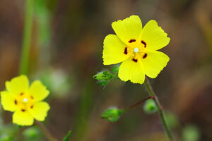 Change Doesn’t Have to Hurt…