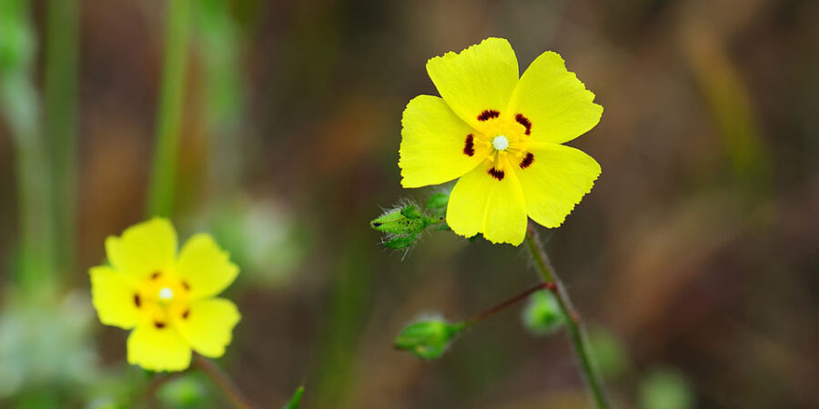 Change Doesn’t Have to Hurt…