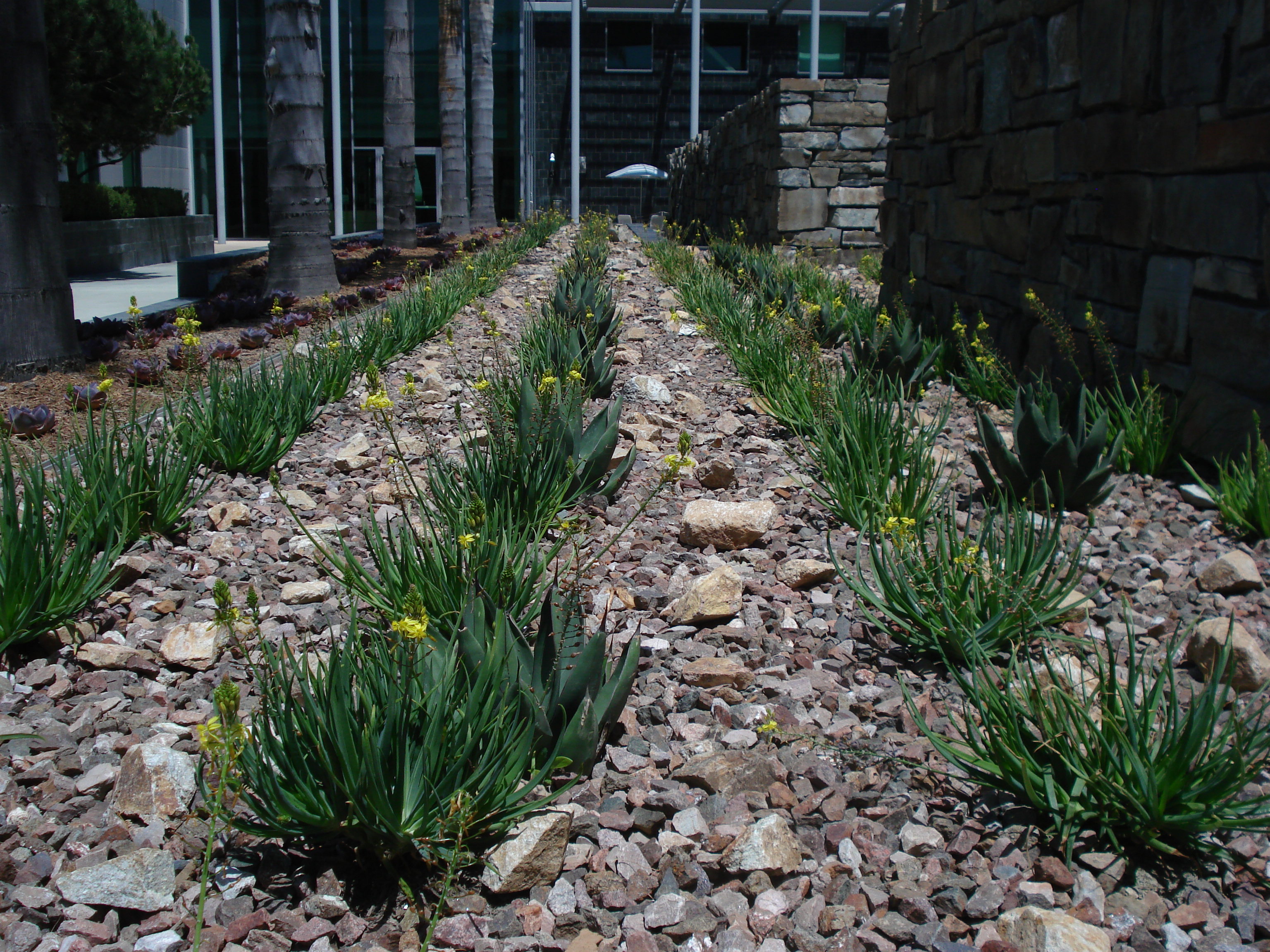 Landscape Services Benchmark LandscapeBenchmark Landscape