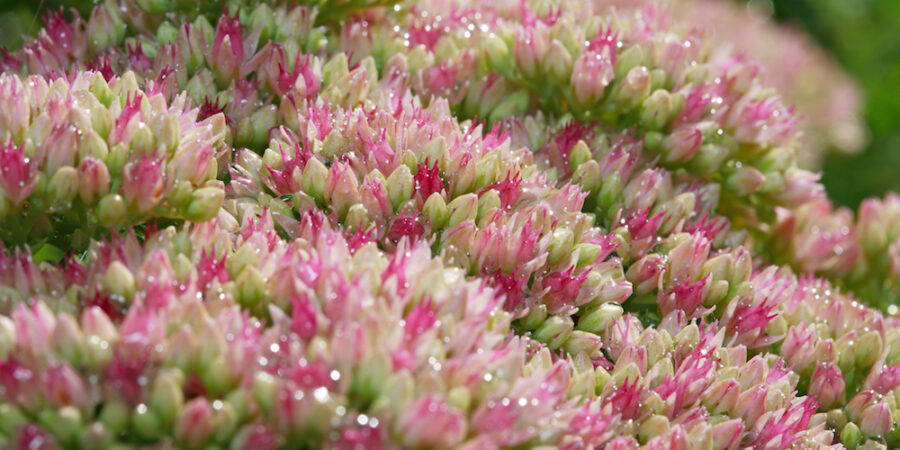 Spring Cleaning isn’t just for your home…