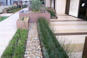 Downtown Greenroof Garden