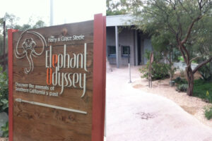 San Diego Zoo Enhancements