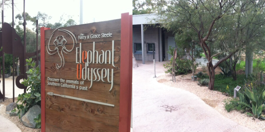 San Diego Zoo Enhancements