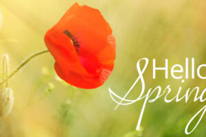 Spring & Summer-Proof Your Landscaping