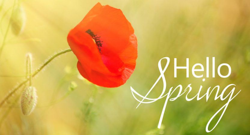 Spring & Summer-Proof Your Landscaping