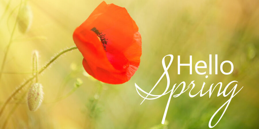 Spring & Summer-Proof Your Landscaping