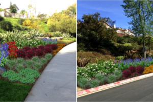 The Bright Side of Water Conservation