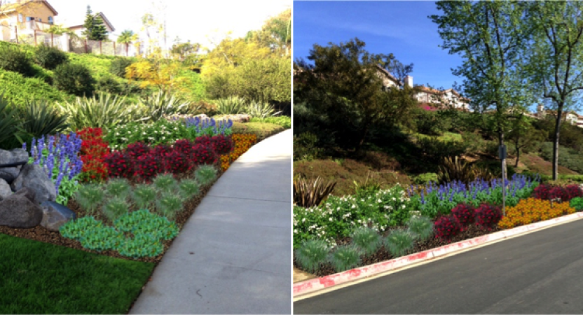 The Bright Side of Water Conservation