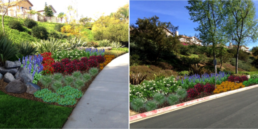 The Bright Side of Water Conservation