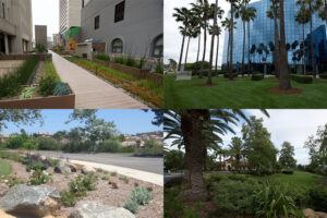 CLCA San Diego Honors Top Landscape Contractors with Annual Beautification Awards