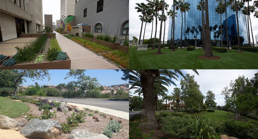 CLCA San Diego Honors Top Landscape Contractors with Annual Beautification Awards