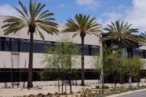 How to Enhance Your Landscape With Water-Efficient Solutions