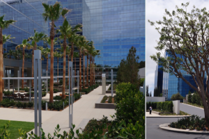 Setting the Standard for Irvine Company’s “La Jolla Centre Superblock”