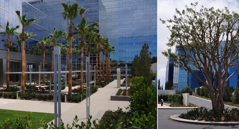Setting the Standard for Irvine Company’s “La Jolla Centre Superblock”