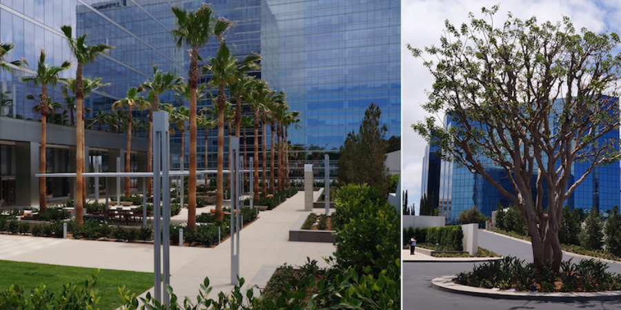 Setting the Standard for Irvine Company’s “La Jolla Centre Superblock”