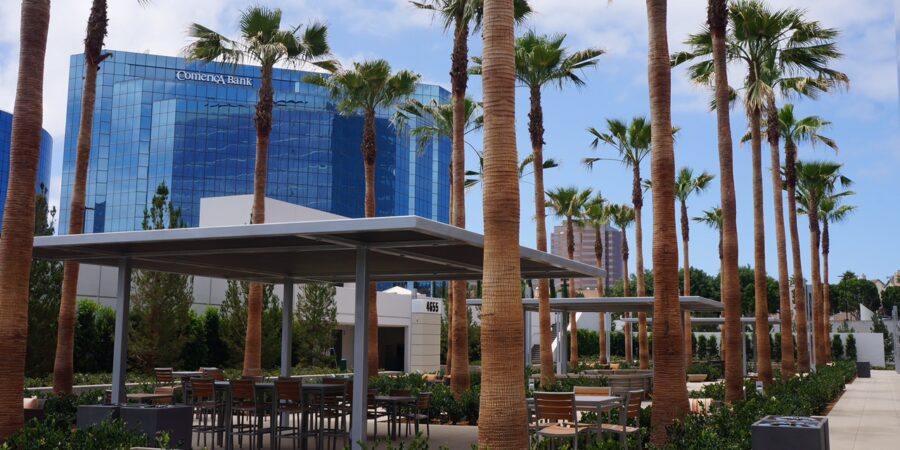 A Proactive Approach to Tree Care: Certified Arborists