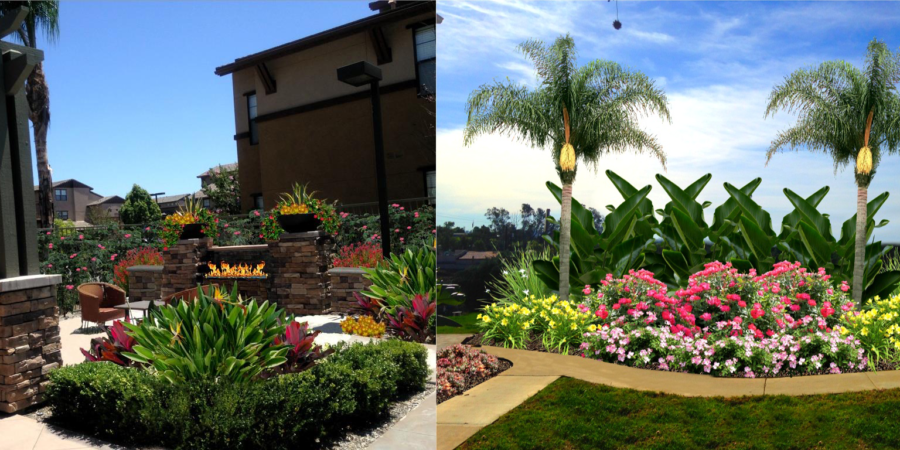 Ideas Become Reality with Expert Landscape Designers