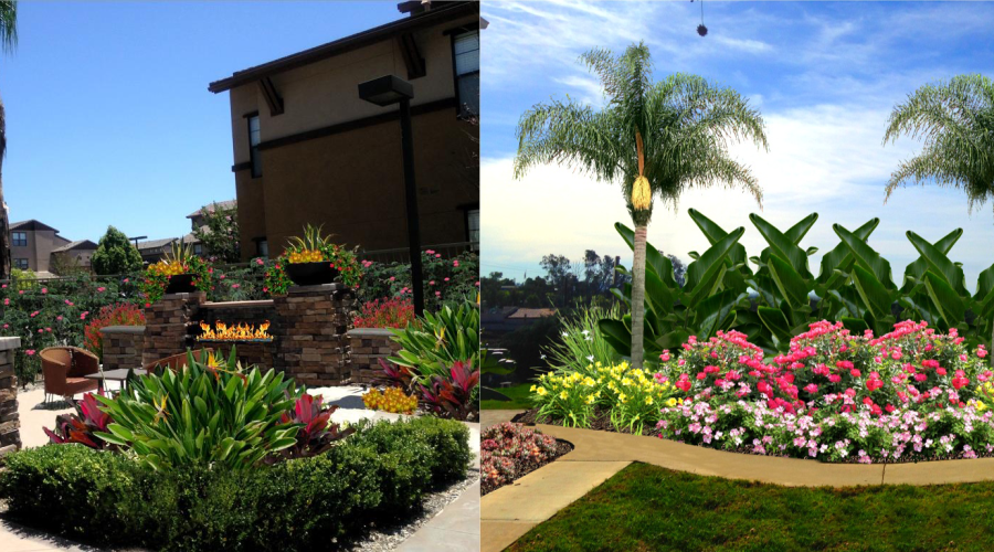 Ideas Become Reality with Expert Landscape Designers