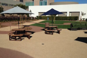 Drab to Fab: An Unused Parking Lot Turned Staff Garden Sanctuary