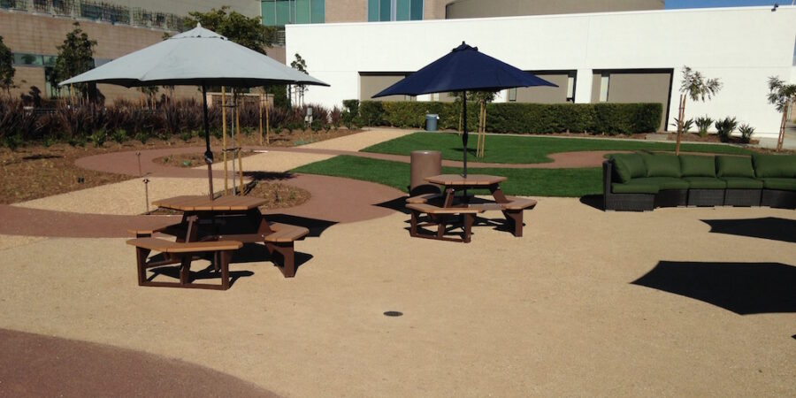 Drab to Fab: An Unused Parking Lot Turned Staff Garden Sanctuary