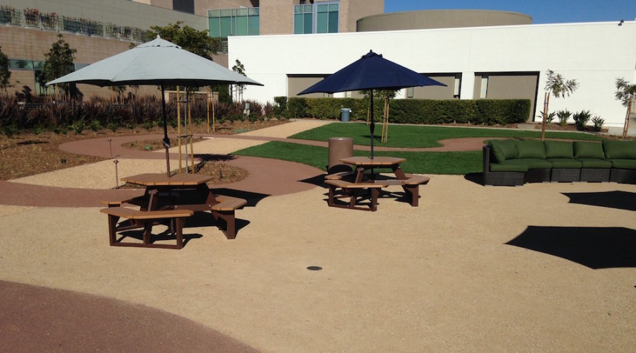 Drab to Fab: An Unused Parking Lot Turned Staff Garden Sanctuary