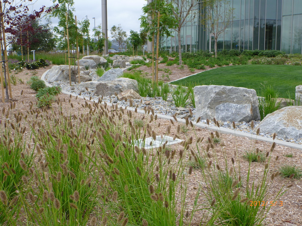 Commercial Installation Benchmark LandscapeBenchmark Landscape