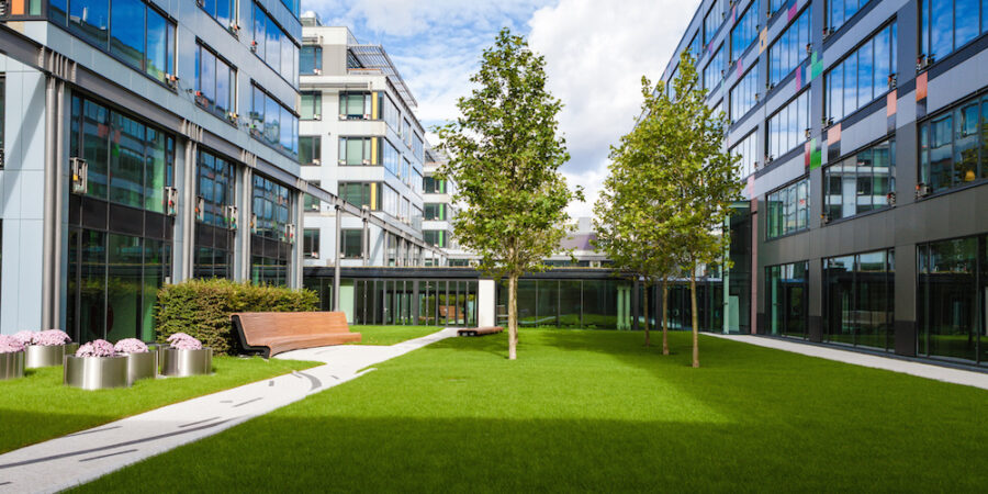 Luxury Landscaping for Less