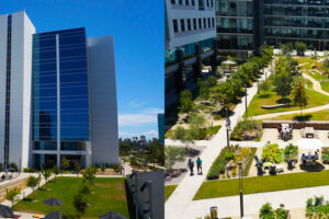 Modern Maintenance: State-of-the-art Landscaping for One of San Diego’s Top Tech Companies