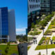Modern Maintenance: State-of-the-art Landscaping for One of San Diego’s Top Tech Companies