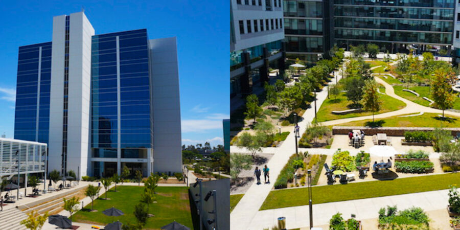 Modern Maintenance: State-of-the-art Landscaping for One of San Diego’s Top Tech Companies