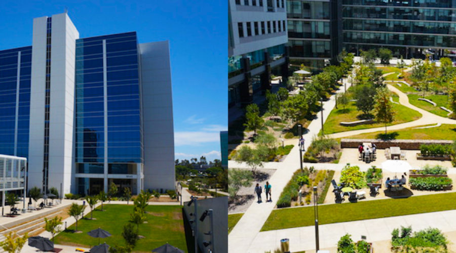 Modern Maintenance: State-of-the-art Landscaping for One of San Diego’s Top Tech Companies