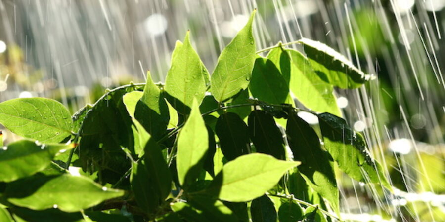 No More Drought in San Diego