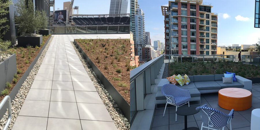 Teamwork Makes the Dream Work