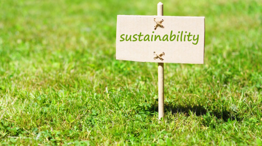 LEED-ing the Way in Sustainability