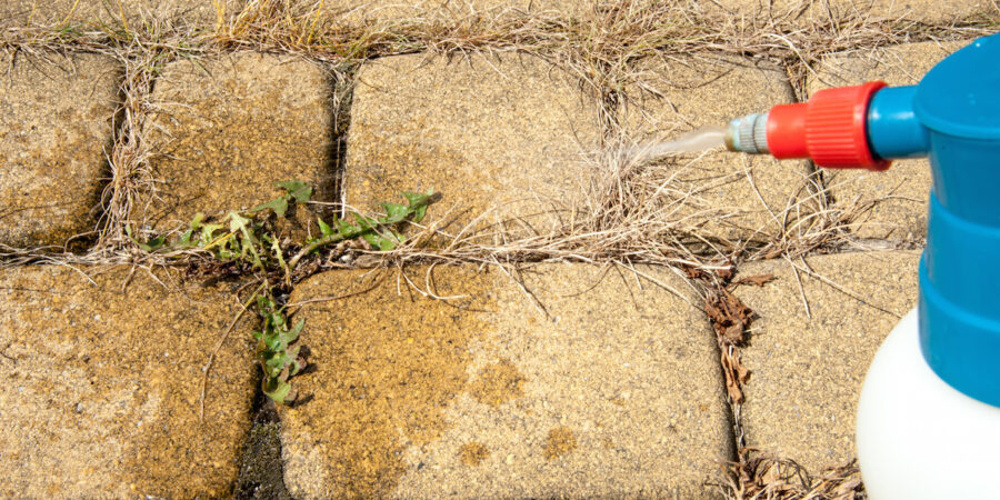 Weed Control: The Difference Between Pre & Post-Emergents