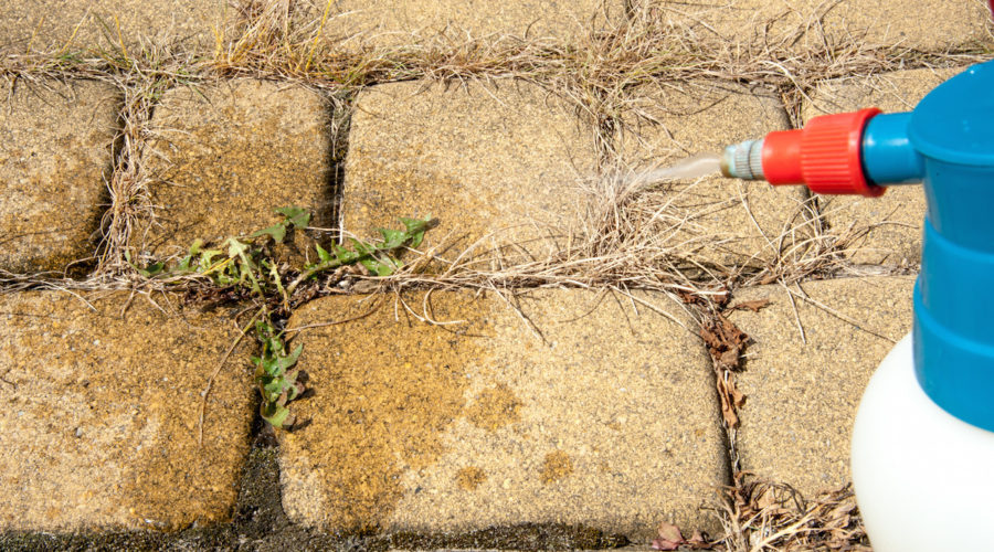 Weed Control: The Difference Between Pre & Post-Emergents
