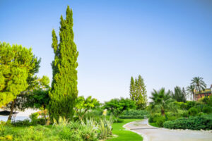 Preparing Your Landscape For Summer