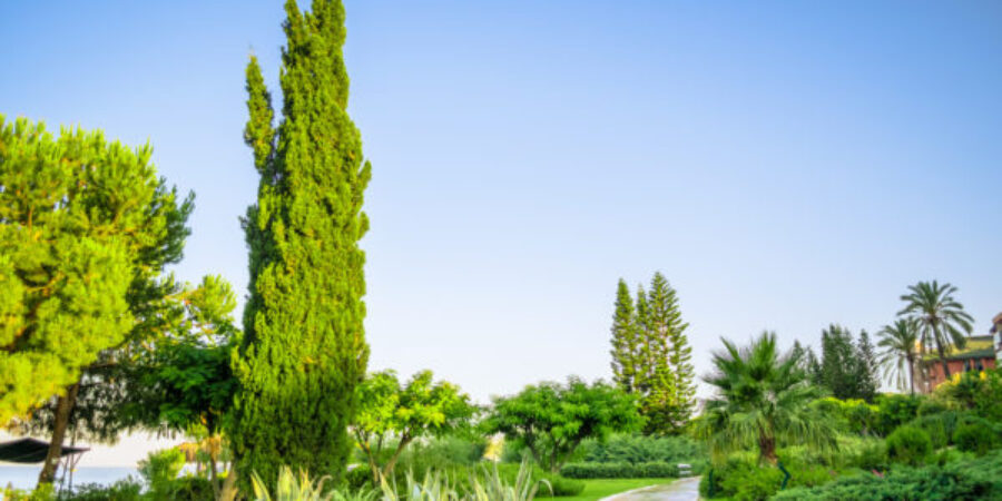 Preparing Your Landscape For Summer