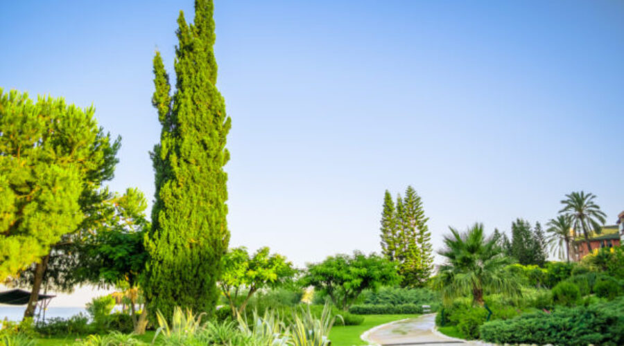 Preparing Your Landscape For Summer