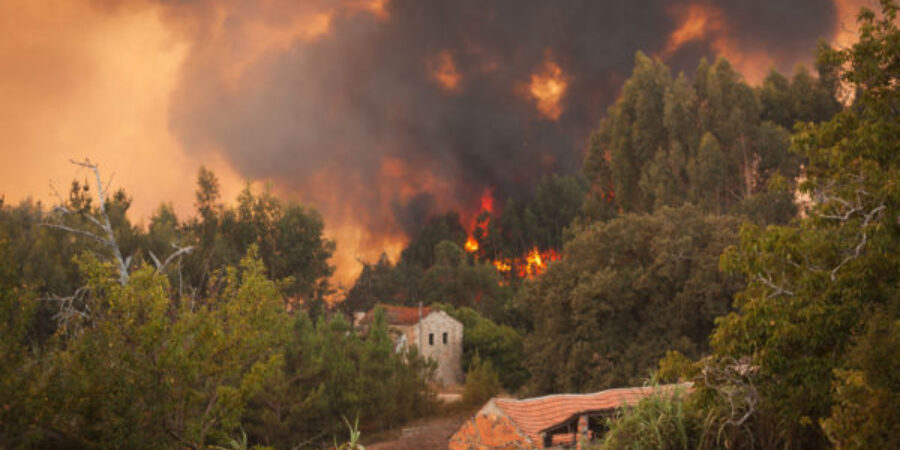 Brush Management Strategies