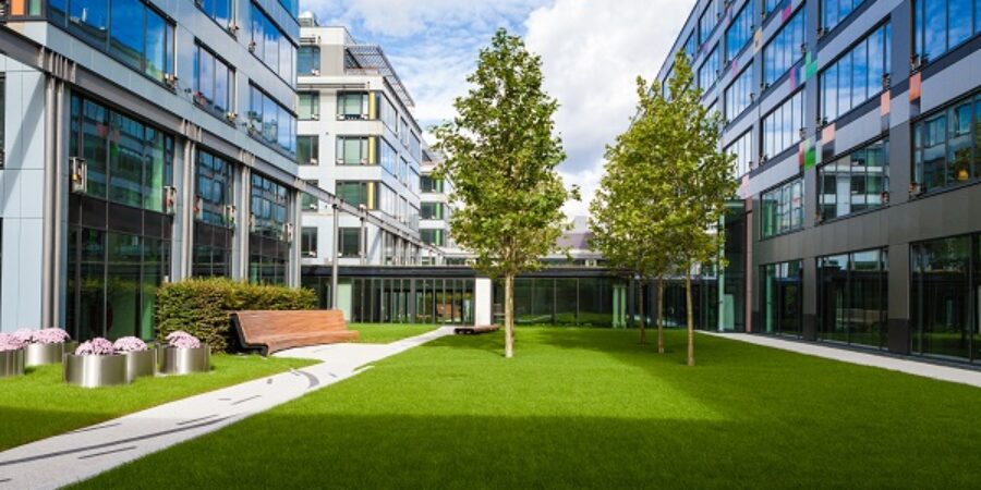 Professional vs Non-Professional Commercial Landscapers