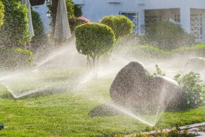 Ways to Reduce Water Usage on Your Property
