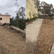 Functional, Sustainable Landscaping to Feed Animals at the San Diego Zoo