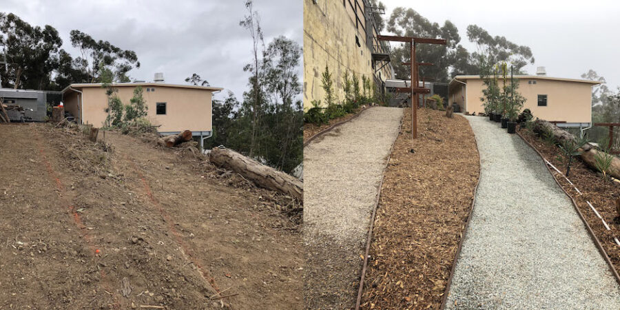 Functional, Sustainable Landscaping to Feed Animals at the San Diego Zoo