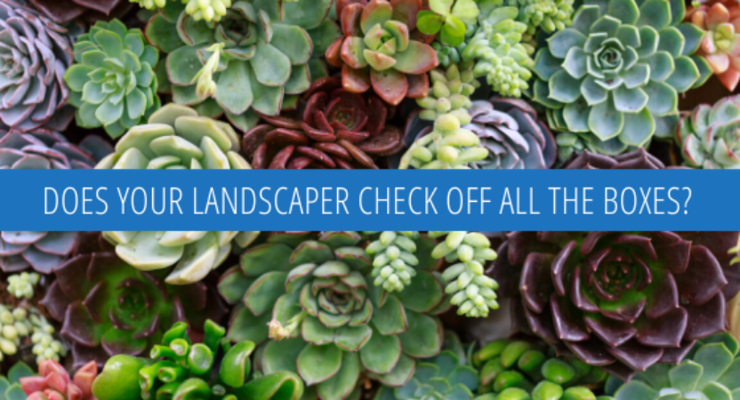 Does Your Commercial Landscape Contractor Check Off All the Boxes?