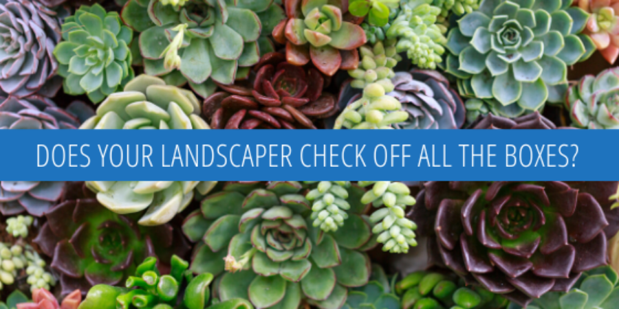 Does Your Commercial Landscape Contractor Check Off All the Boxes?