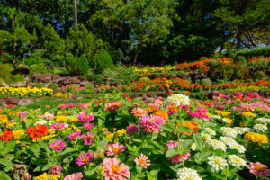 April Showers Bring May Flowers