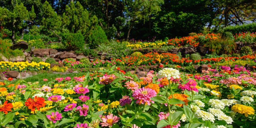 April Showers Bring May Flowers