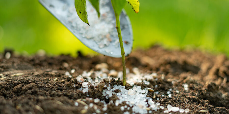 All About Landscape Fertilizers